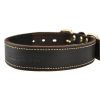 Genuine Leather Dog Collar from Tall Tails