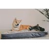 Dream Chaser Cushion Bed from Tall Tails