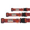 Braided Multicolor Dog Collar from Tall Tails