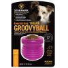 Groovy Ball with Everlasting Treat from Starmark