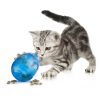 Cat Toy Egg-Cersizer from Funkitty