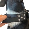 Handle Leather Collar from Doogy