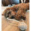 Tall Tails Natural Cotton & Jute Rope Tug Toy