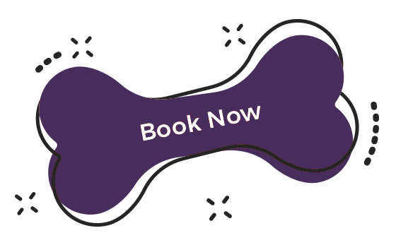 https://www.4pawzkw.com/wp-content/uploads/2020/09/book_now.png