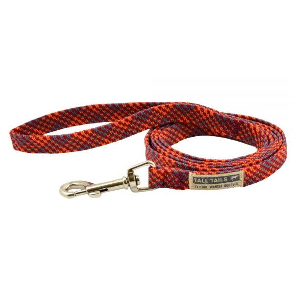 Braided Multicolor Dog Leash from Tall Tails