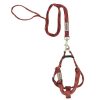 Braided Multicolor Dog Harness from Tall Tails