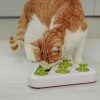 Trea Puzzle for cats & Small Dogs from Ferplast